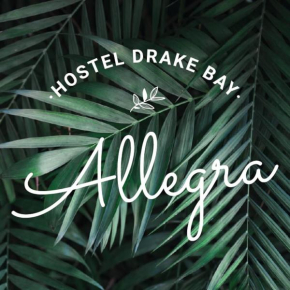 Allegra Hostel